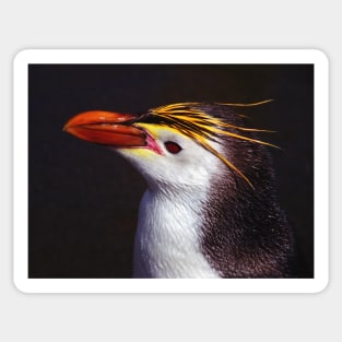 Royal Penguin Portrait Sticker